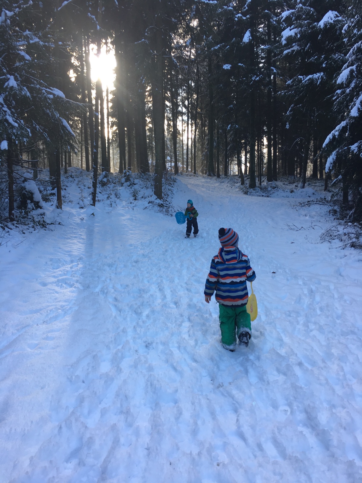 Zwei Kinder sind mit Schaufeln im verschneiten Wald unterwegs